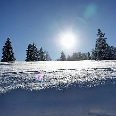 Almsternchen 2 - Almsternchen 3 Lägenhet Oberstdorf